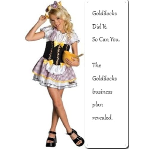 The Goldilocks Business Plan by Steven Doornbos