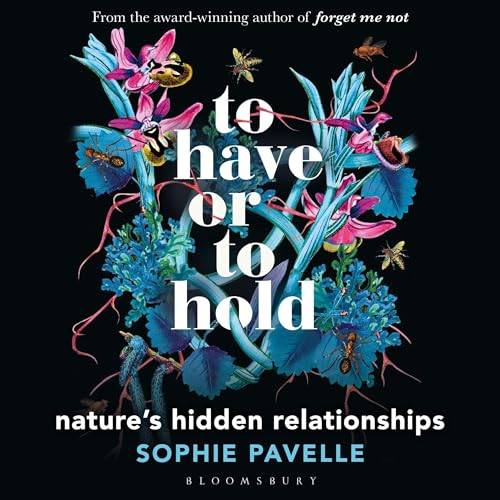 To Have or To Hold by Sophie Pavelle