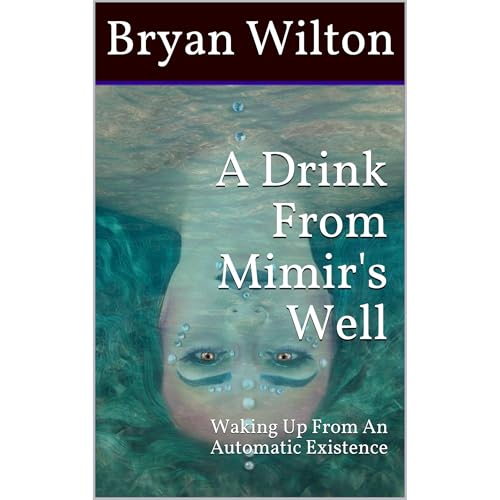 A Drink From Mimir's Well