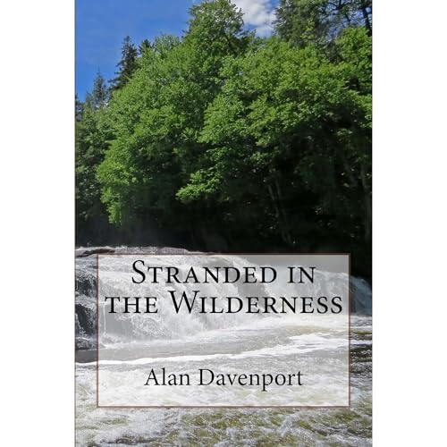 Stranded in the Wilderness