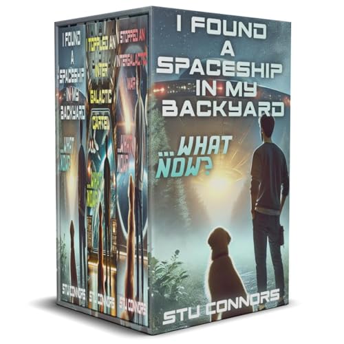 I Found a Spaceship in my Backyard... What Now?