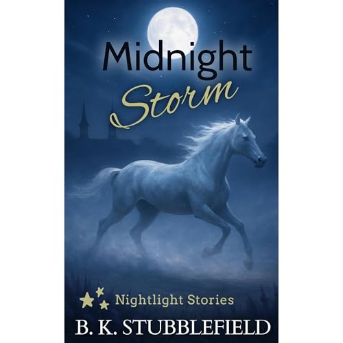 Midnight Storm by B. K. Stubblefield
