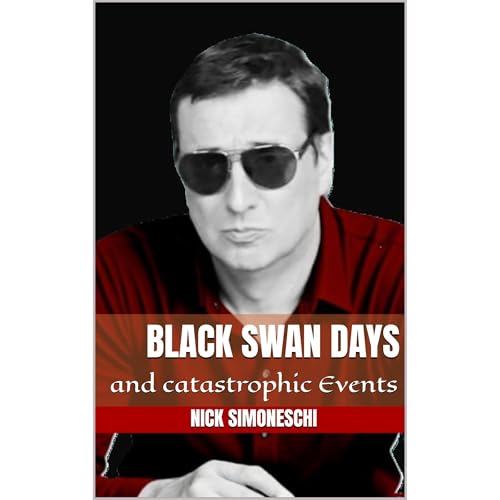 Black Swan Days and catastrophic events