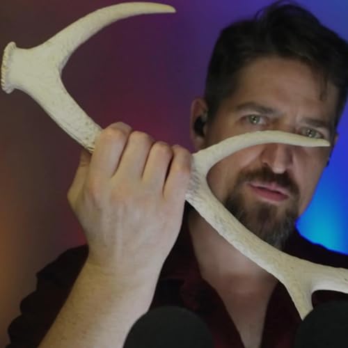 ASMR with Antlers 🫎 Binaural Tapping (No Talking) by Unknown