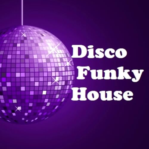Disco Funky House by lieb-art by Willy Liebhardt