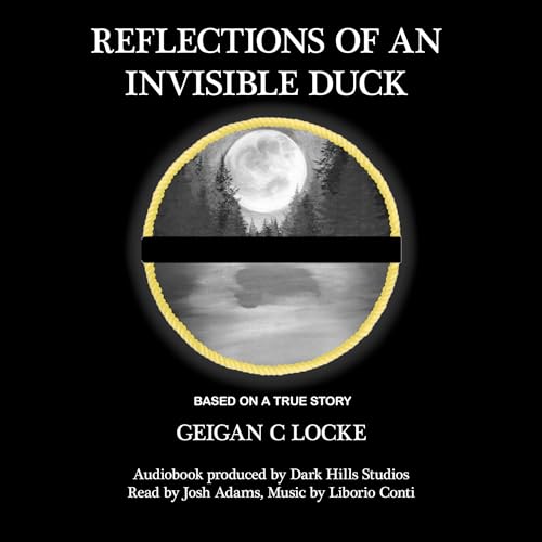 Reflections of an Invisible Duck