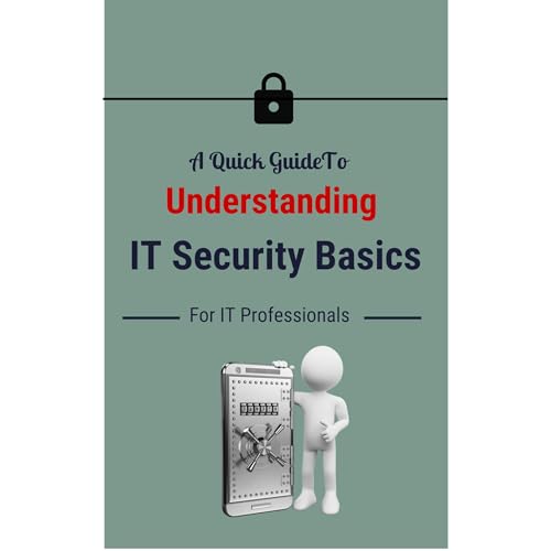 A Quick Guide To Understanding IT Security Basics For IT Professionals by M Small