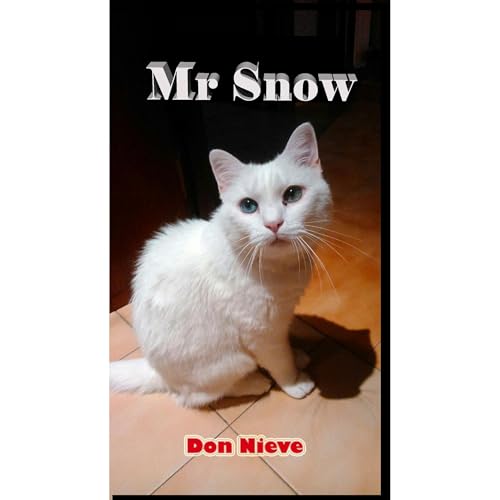 Mr. Snow by Don Nieve