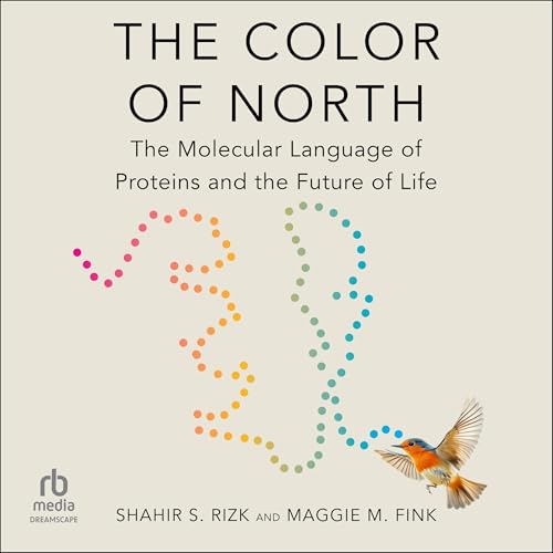 The Color of North by Maggie M. Fink