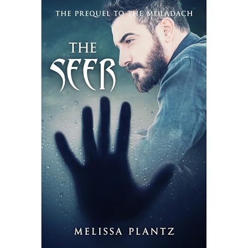 The Seer by Melissa Plantz