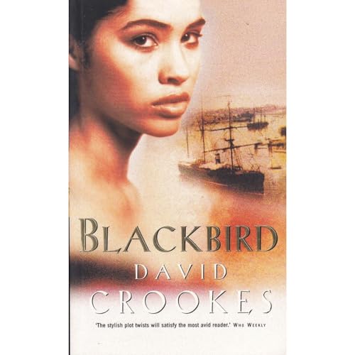 Blackbird by David Crookes