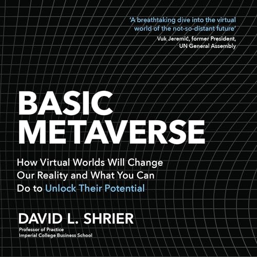 Basic Metaverse by David Shrier