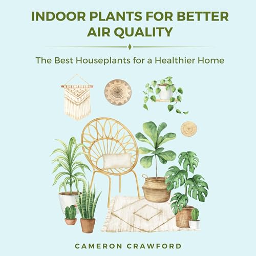 Indoor Plants for Better Air Quality