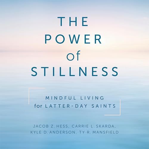 The Power Of Stillness by Jacob Z. Hess