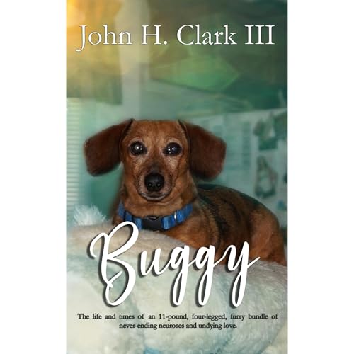 Buggy by John H. Clark III