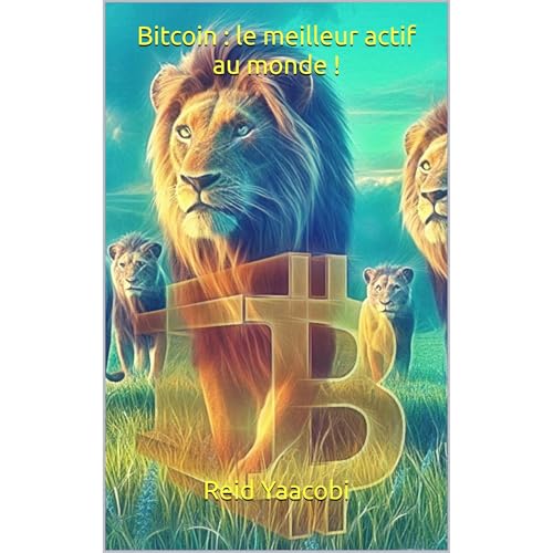 Bitcoin : le meilleur actif au monde !
