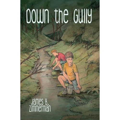 Down the Gully by James Zimmerman