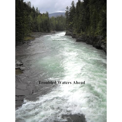 Troubled Waters Ahead by Derek Miller