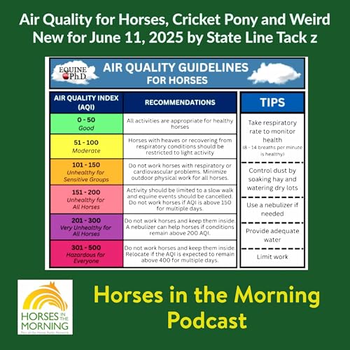 Air Quality for Horses, Cricket Pony and Weird New for June 11, 2025 by State Line Tack - Horses in the Morning