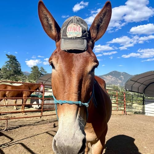 Off Grid with Horses by Off Grid with Horses