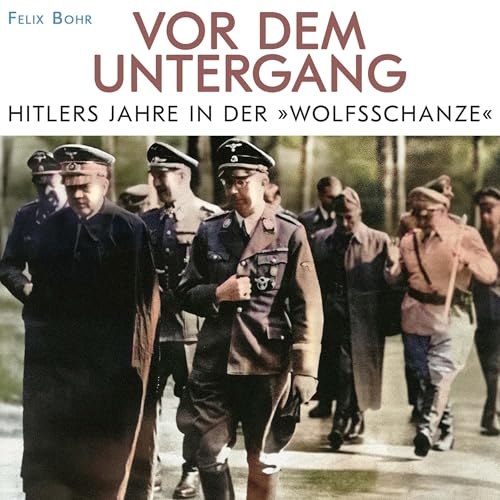 Vor dem Untergang by Felix Bohr