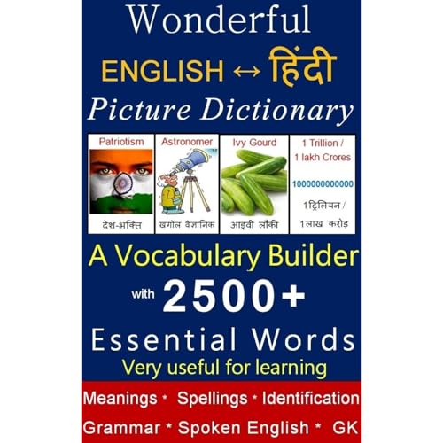 Wonderful English to Hindi / Hindi to English Picture Dictionary by NEO Publishing House
