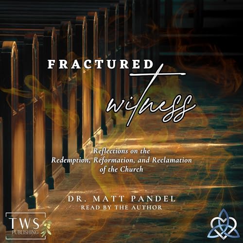 Fractured Witness by Matt Pandel