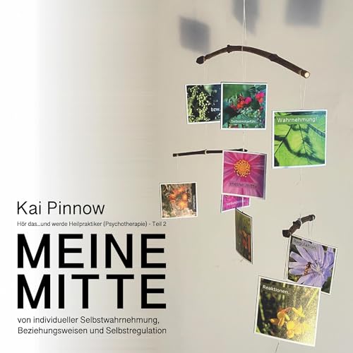 Meine Mitte - von individueller Selbstwahrnehmung, Beziehungsweisen und Selbstregulation by Kai Pinnow