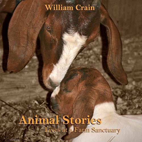 Animal Stories: Lives at a Farm Sanctuary