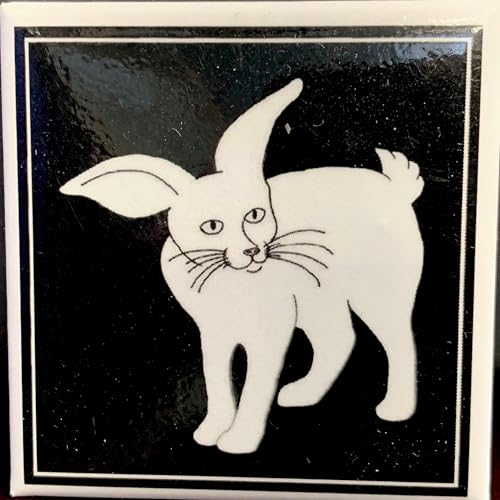 Cabbitt Tales and Trails: A Page One Story and Music Collection by Cabbitt Productions