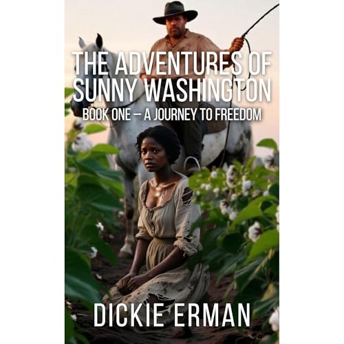 The Adventures of Sunny Washington