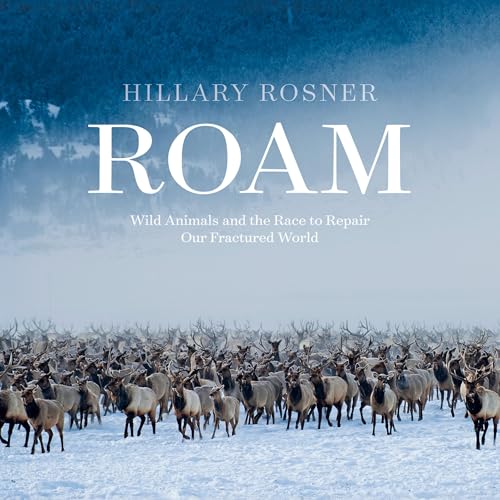 Roam by Hillary Rosner