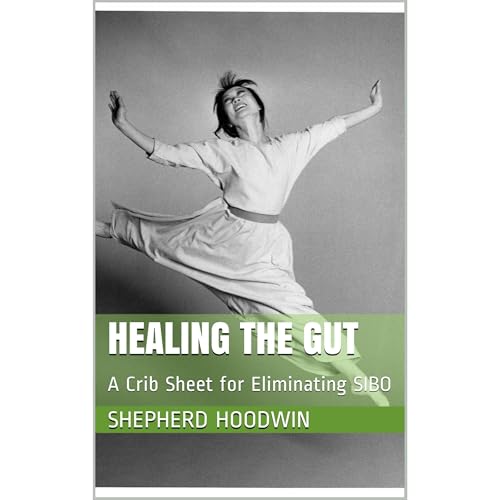 Healing the Gut by Shepherd Hoodwin