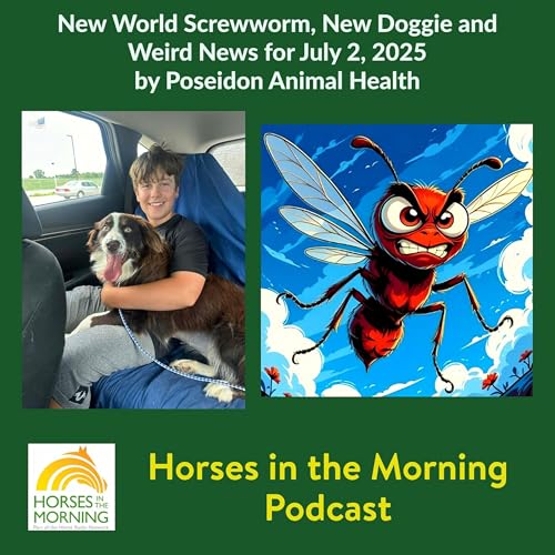 New World Screwworm, New Doggie and Weird News for July 2, 2025 by Poseidon Animal Health - Horses in the Morning