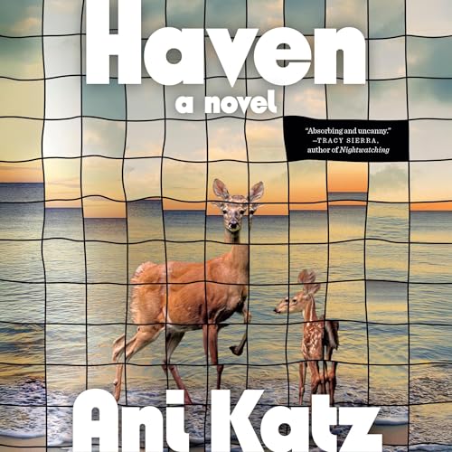 Haven by Ani Katz