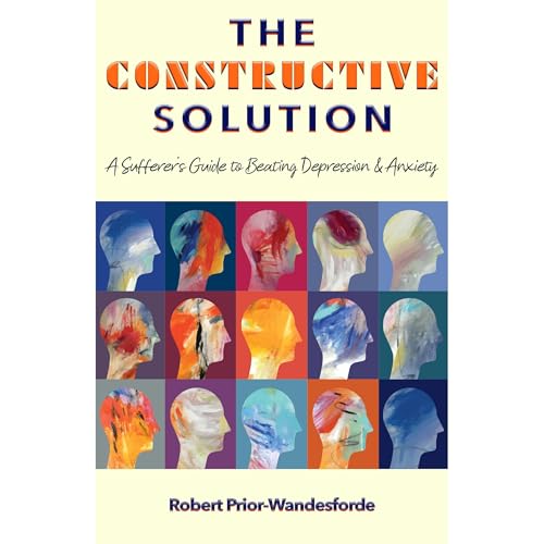 The Constructive Solution by Robert Prior-Wandesforde