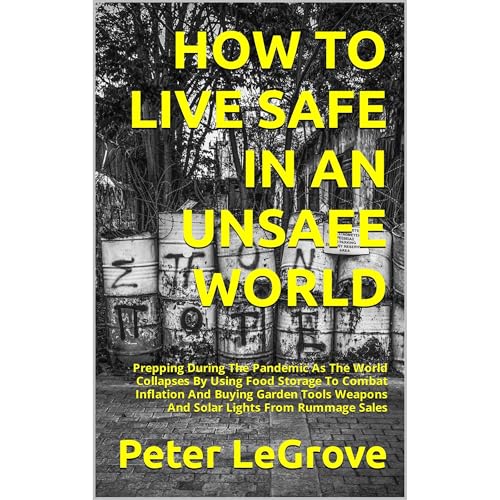 HOW TO LIVE SAFE IN AN UNSAFE WORLD