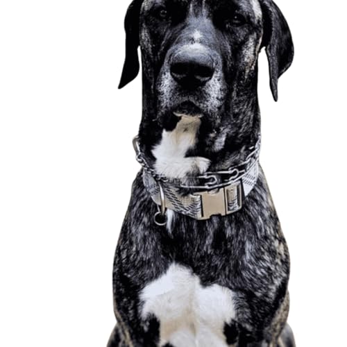 Danes Delight by Yeti by Yeti the Great Dane