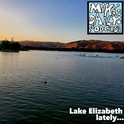 Androids! by Unknown