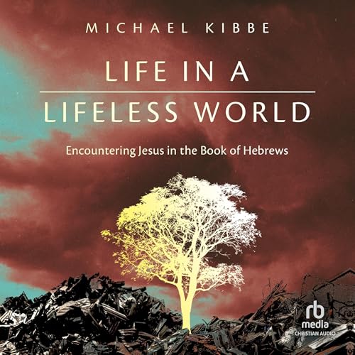 Life in a Lifeless World by Michael Kibbe
