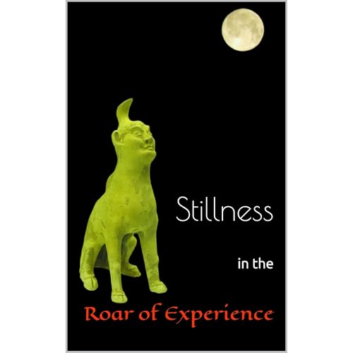 Stillness in the Roar of Experience by William W. Chan