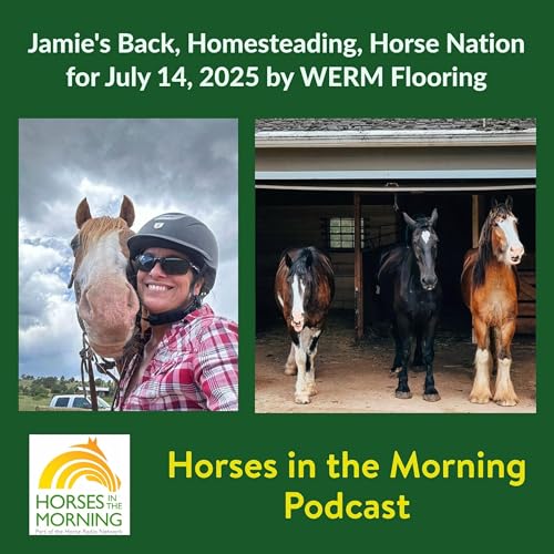 Jamie's Back, Homesteading, Horse Nation for July 14, 2025 by WERM Flooring - Horses in the Morning by Unknown