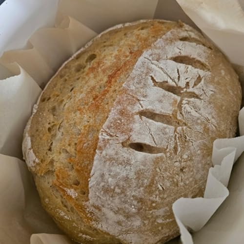 Young mom creates sourdough side hustle by Unknown