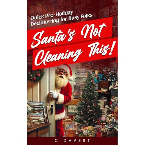 Santa's Not Cleaning This!