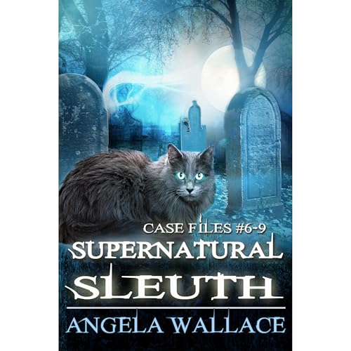 Supernatural Sleuth, Case Files #6-9