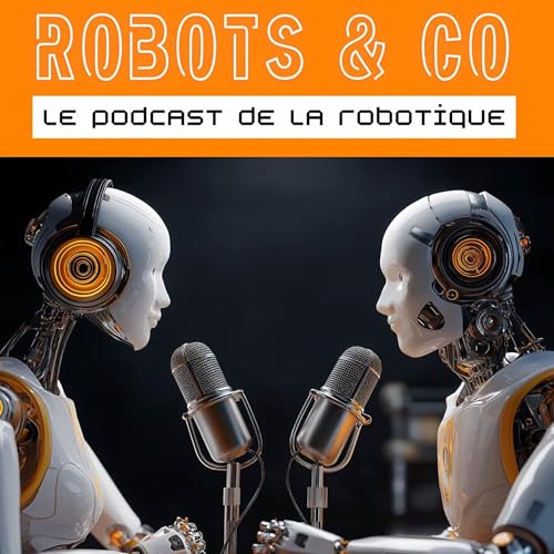 Robots & Co by Patrick DE CARVALHO