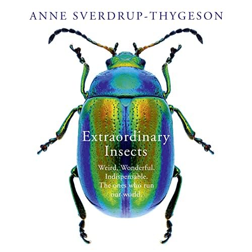 Extraordinary Insects: Weird. Wonderful. Indispensable. The ones who run our world. Audiobook by Anne Sverdrup-Thygeson