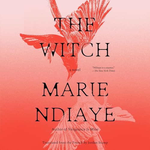 The Witch by Marie NDiaye