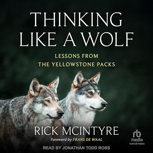 Thinking Like a Wolf by Rick McIntyre