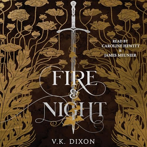 Fire &amp; Night by V.K. Dixon